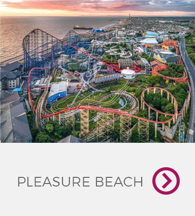 PLEASURE
